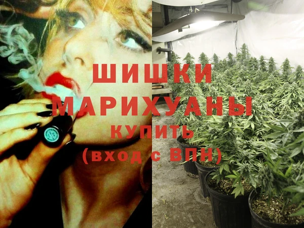мескалин Богданович