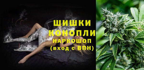мескалин Богданович