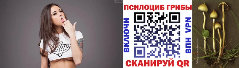закладки  Красково  Псилоцибиновые грибы Psilocybe 